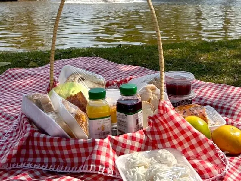 Cesta de piquenique à beira do lago com chafariz