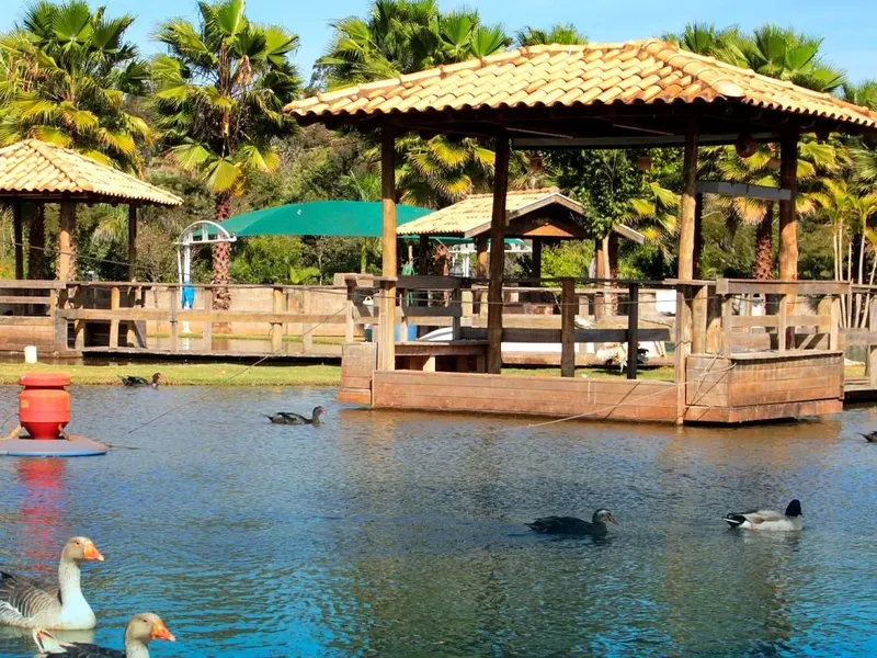 Lago com quiosques sobre a água e gansos
